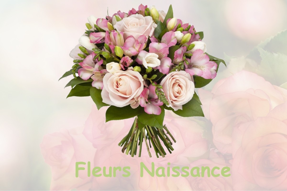 fleurs naissance COMMENSACQ