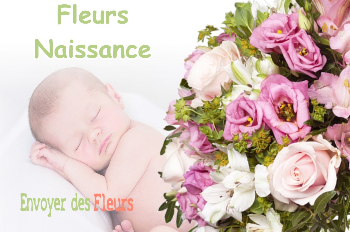 lIVRAISON FLEURS NAISSANCE à COMMENSACQ